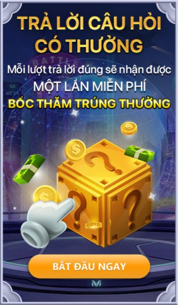 tra lời câu hỏi