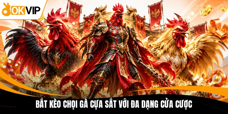bat keo choi ga cua sat voi da dang cua cuoc