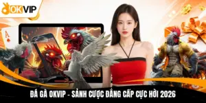 da ga okvip sanh cuoc dang cap cuc hoi 2026
