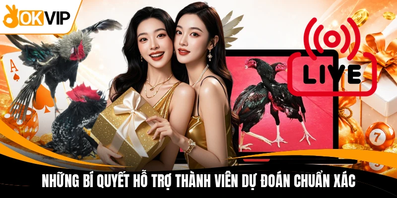 nhung bi quyet ho tro thanh vien du doan chuan xac